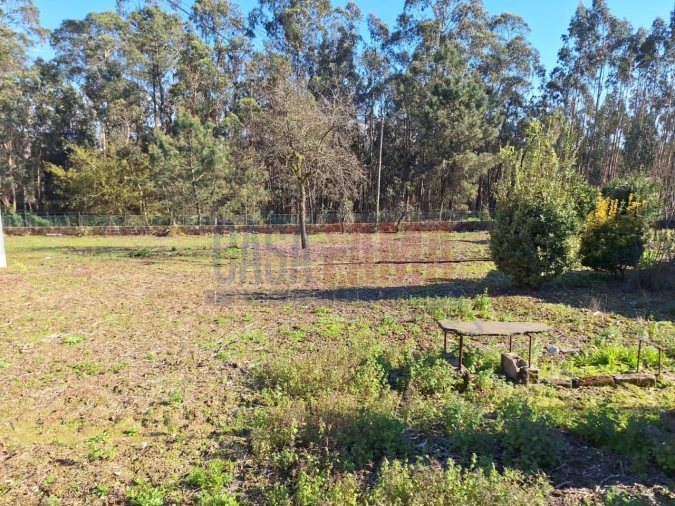 Terreno para Venda em Bagunte, Ferreiró, Outeiro Maior e Parada Foto 19