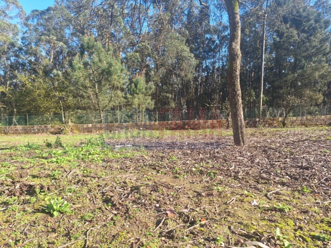 Terreno para Venda em Bagunte, Ferreiró, Outeiro Maior e Parada Foto 23