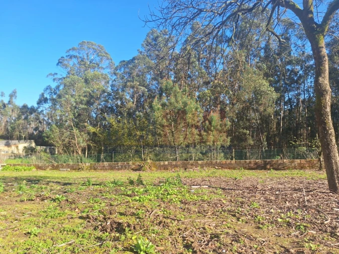 Terreno para Venda em Bagunte, Ferreiró, Outeiro Maior e Parada Foto 24