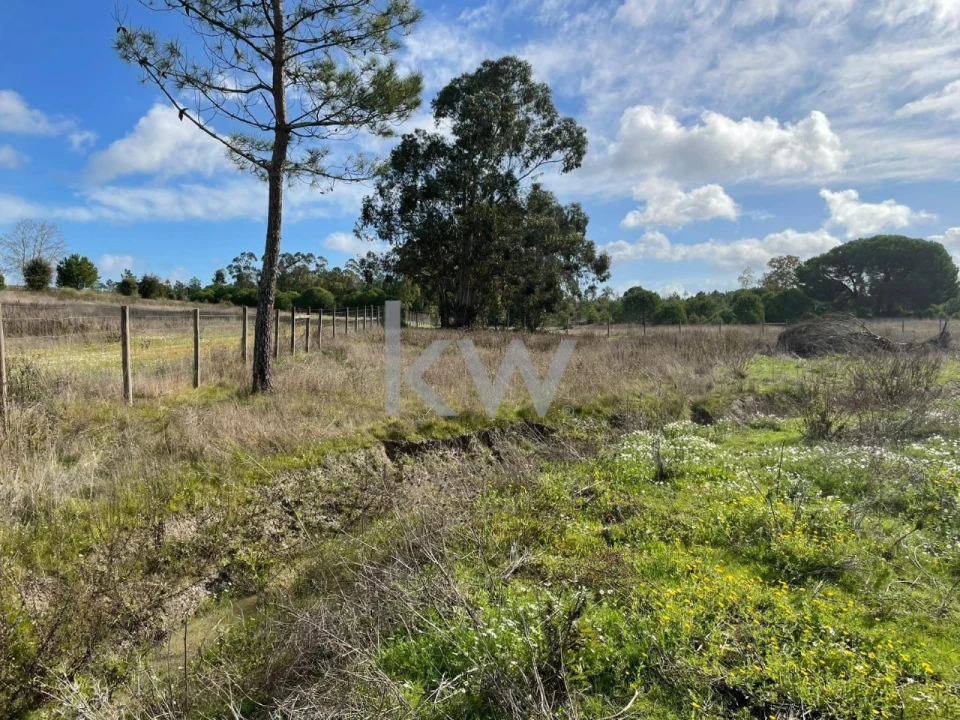 Terreno para Venda em Santo Estêvão Foto 6