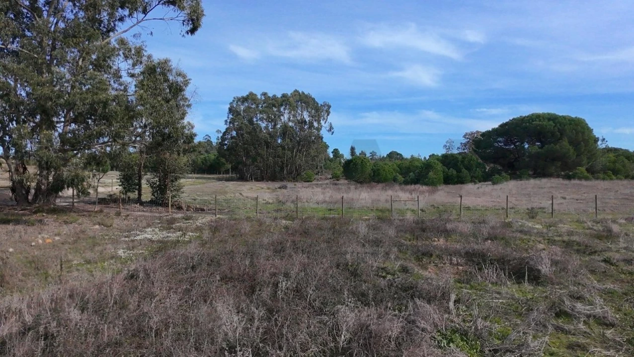 Terreno para Venda em Santo Estêvão Foto 13