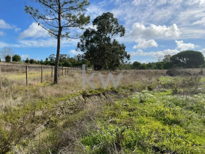 Terreno para Venda em Santo Estêvão Foto 6