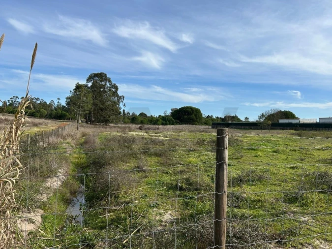 Terreno para Venda em Santo Estêvão Foto 9