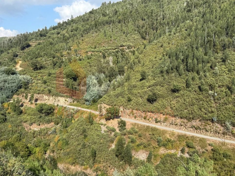 Moradia T2 para Venda em Cerdeira e Moura da Serra Foto 35