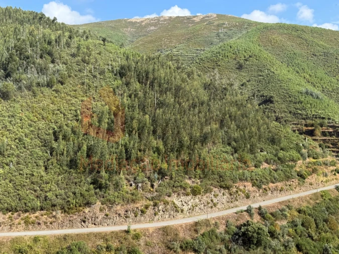 Moradia T2 para Venda em Cerdeira e Moura da Serra Foto 20