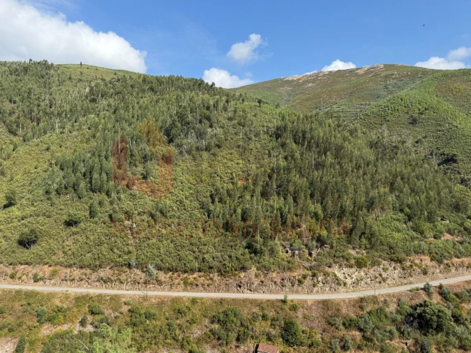 Moradia T2 para Venda em Cerdeira e Moura da Serra Foto 21