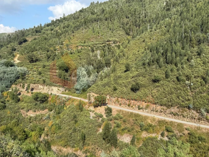Moradia T2 para Venda em Cerdeira e Moura da Serra Foto 35