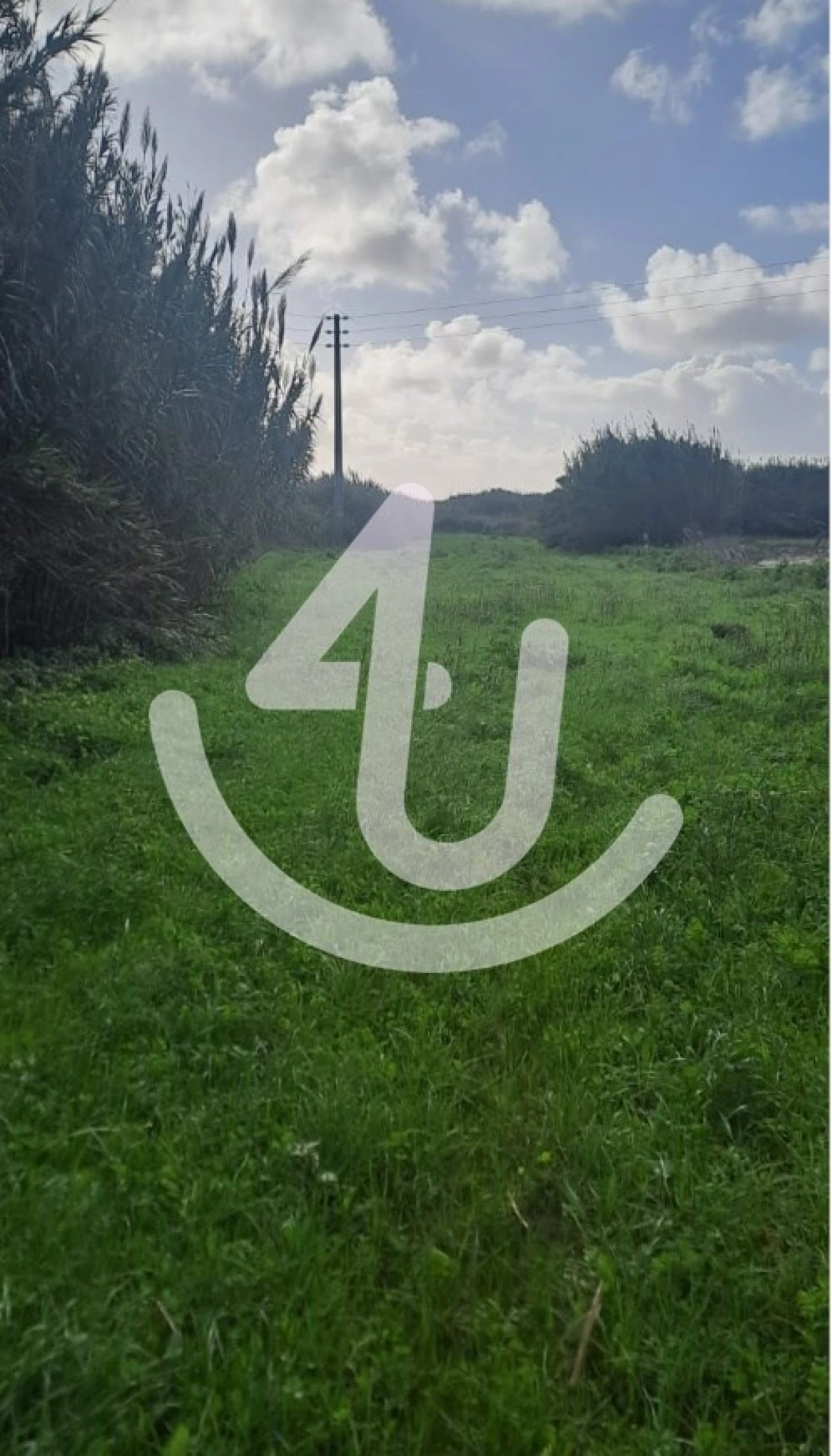 Terreno Agricola ou Rústico para Venda em São Martinho do Porto Foto 4