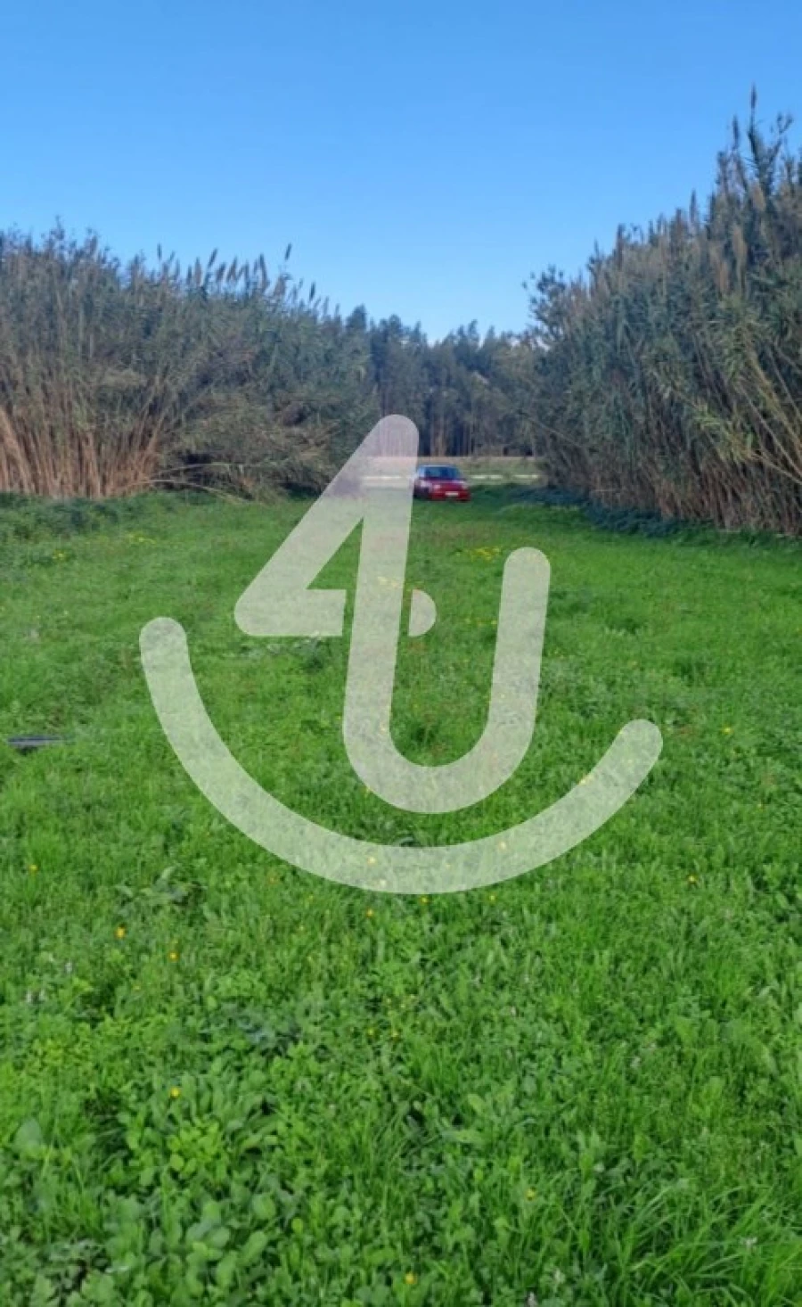 Terreno Agricola ou Rústico para Venda em São Martinho do Porto Foto 2