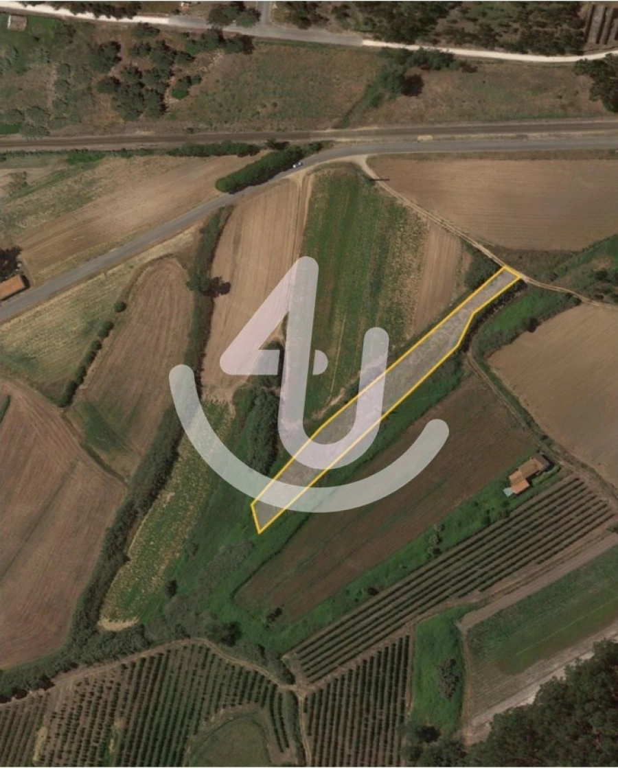 Terreno Agricola ou Rústico para Venda em São Martinho do Porto Foto 1