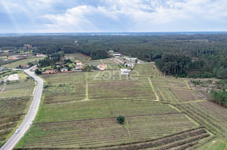 Terreno para Venda em Ourentã Foto 13