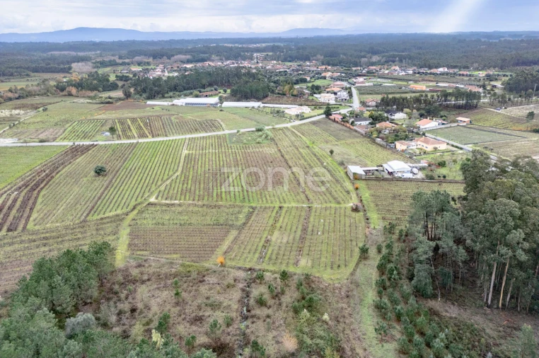 Terreno para Venda em Ourentã Foto 5