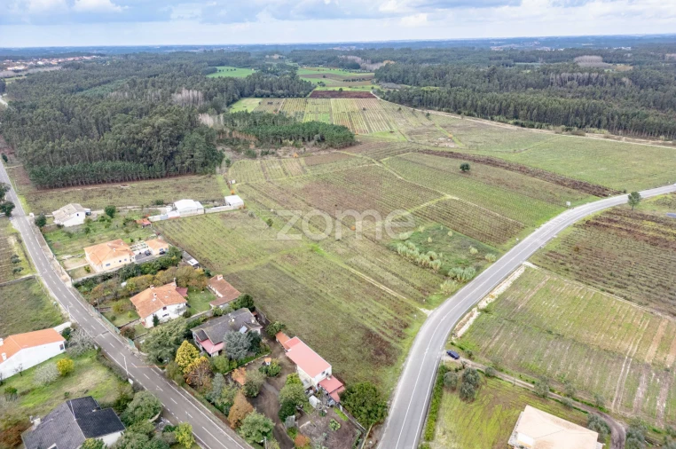 Terreno para Venda em Ourentã Foto 8