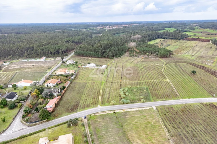 Terreno para Venda em Ourentã Foto 9