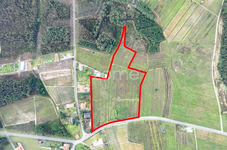 Terreno para Venda em Ourentã