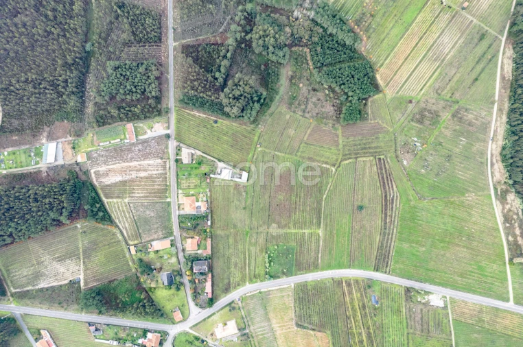 Terreno para Venda em Ourentã Foto 10