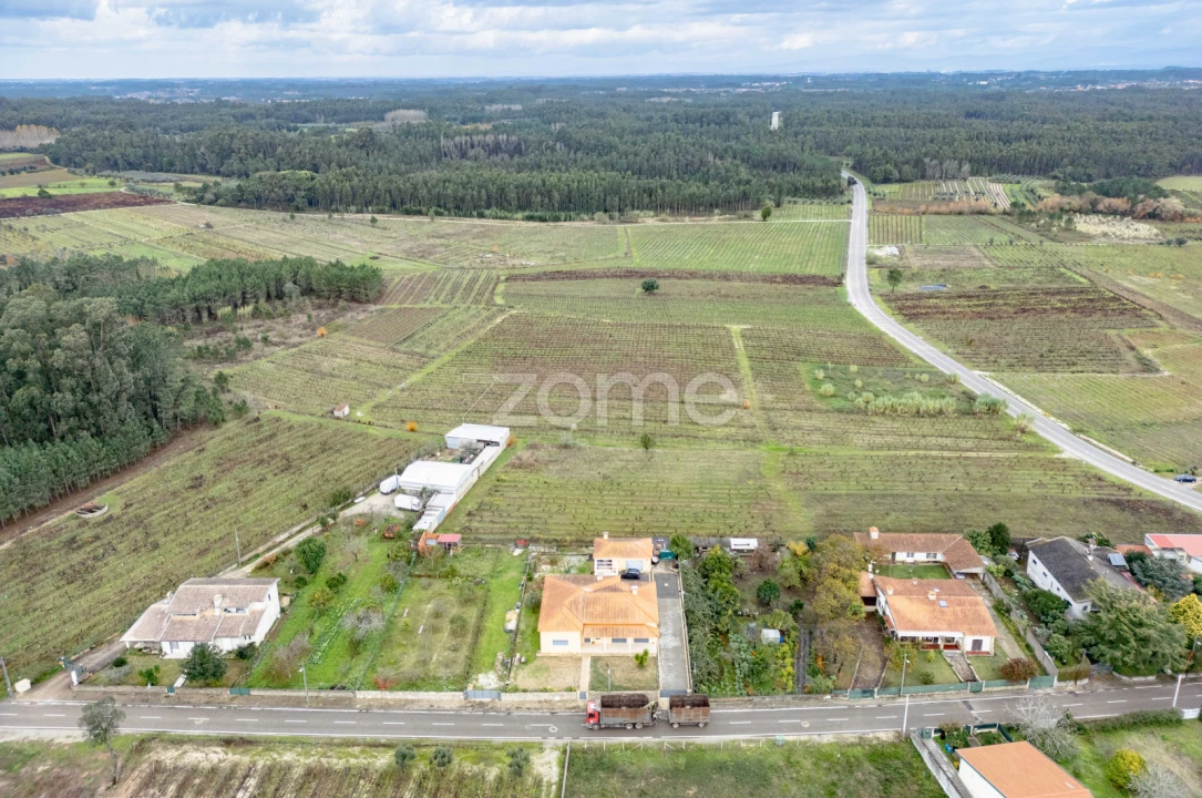 Terreno para Venda em Ourentã Foto 7