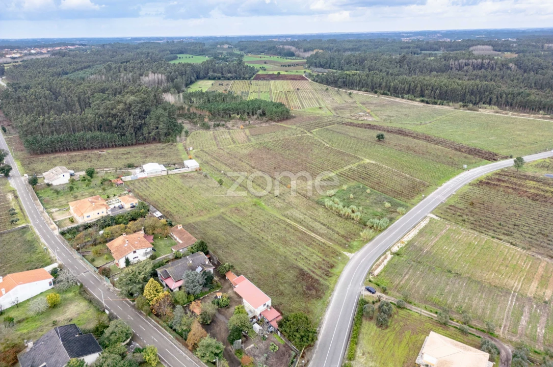 Terreno para Venda em Ourentã Foto 8