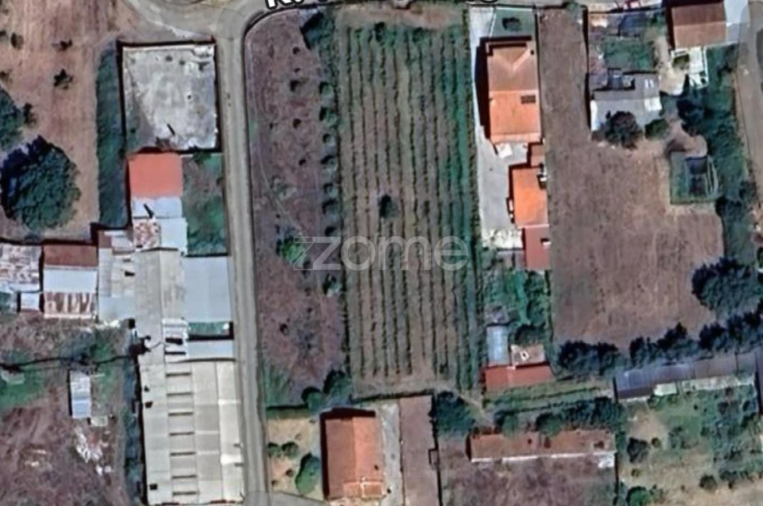Terreno para Venda em Mealhada, Ventosa do Bairro e Antes Foto 10