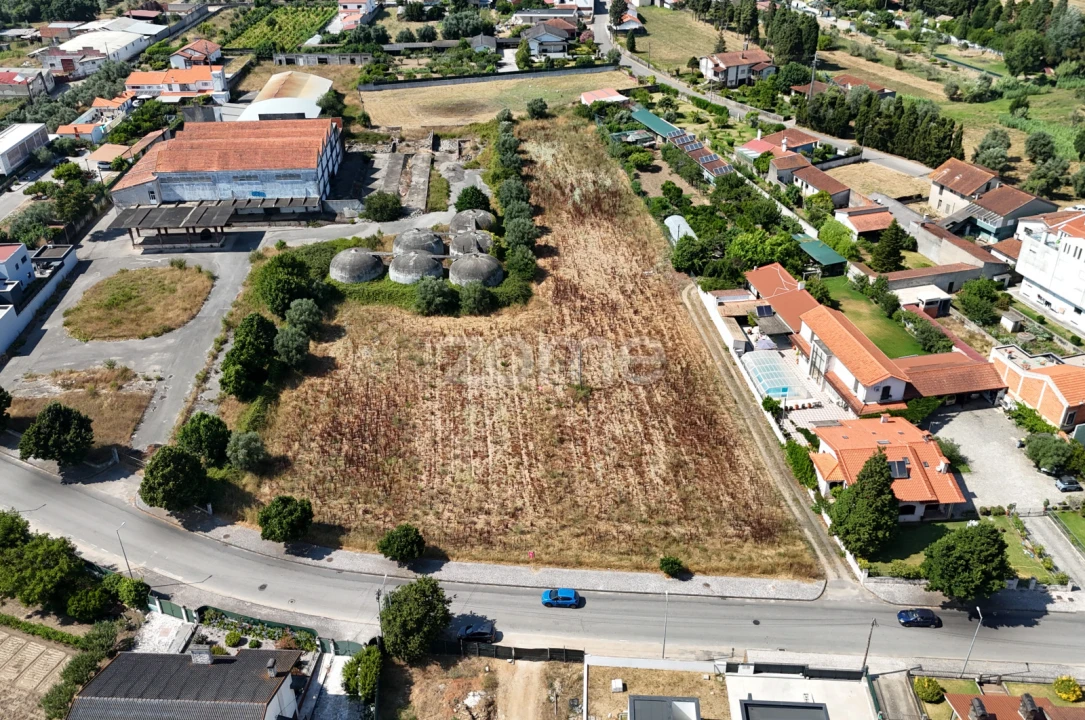 Terreno para Venda em Mealhada, Ventosa do Bairro e Antes Foto 6