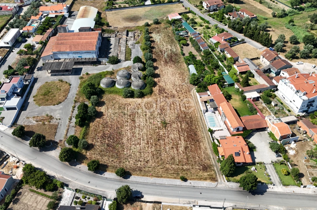 Terreno para Venda em Mealhada, Ventosa do Bairro e Antes Foto 18