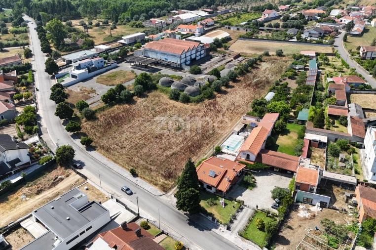 Terreno para Venda em Mealhada, Ventosa do Bairro e Antes Foto 11
