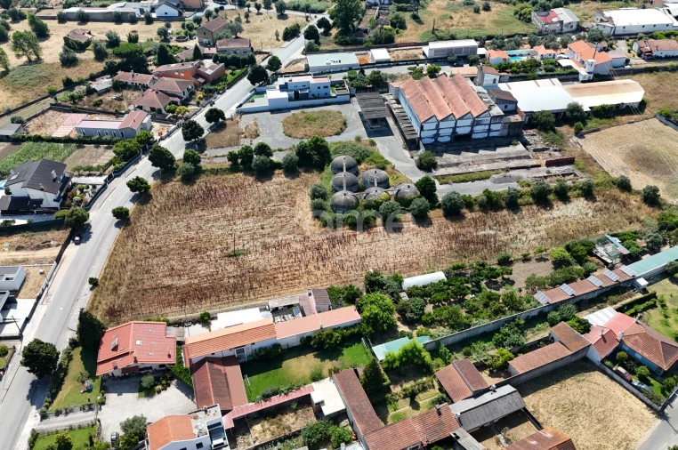 Terreno para Venda em Mealhada, Ventosa do Bairro e Antes Foto 9