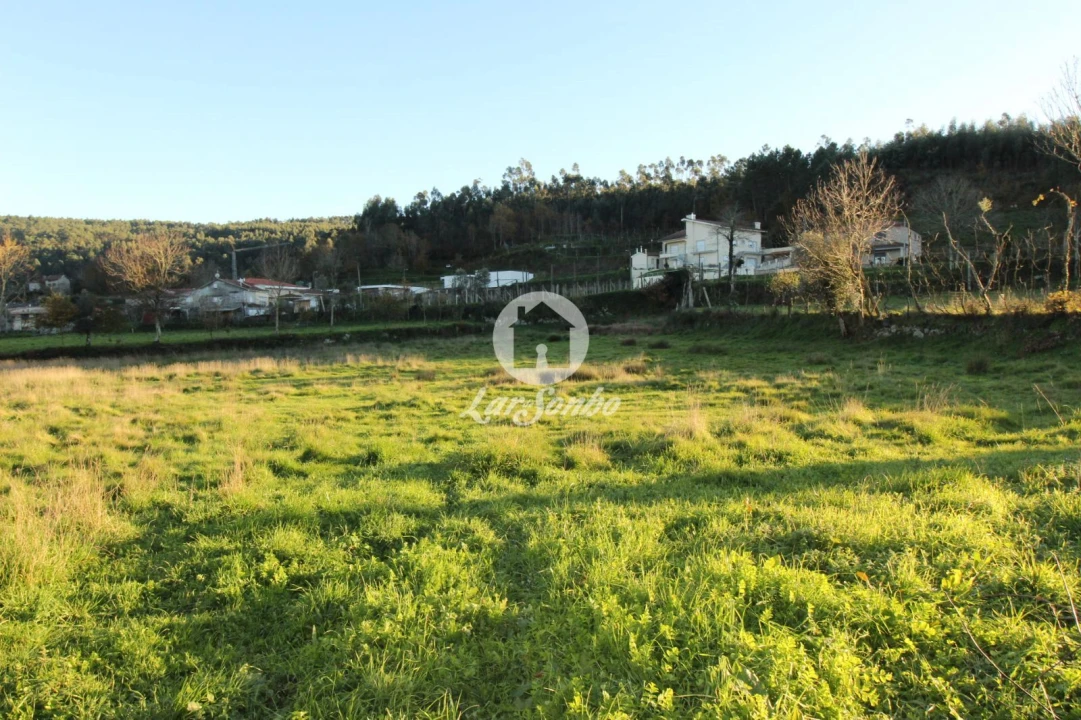 Terreno para Venda em São Gens Foto 2