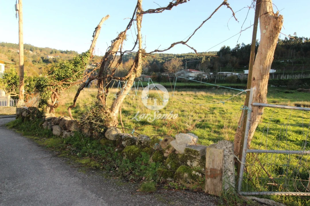 Terreno para Venda em São Gens Foto 4