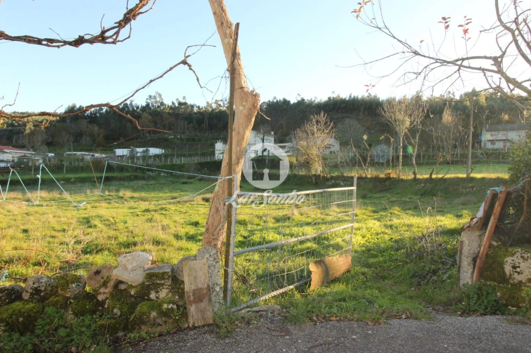 Terreno para Venda em São Gens Foto 5