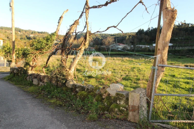Terreno para Venda em São Gens Foto 4