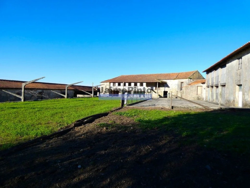 Terreno Agricola ou Rústico para Venda em Abade de Neiva Foto 7