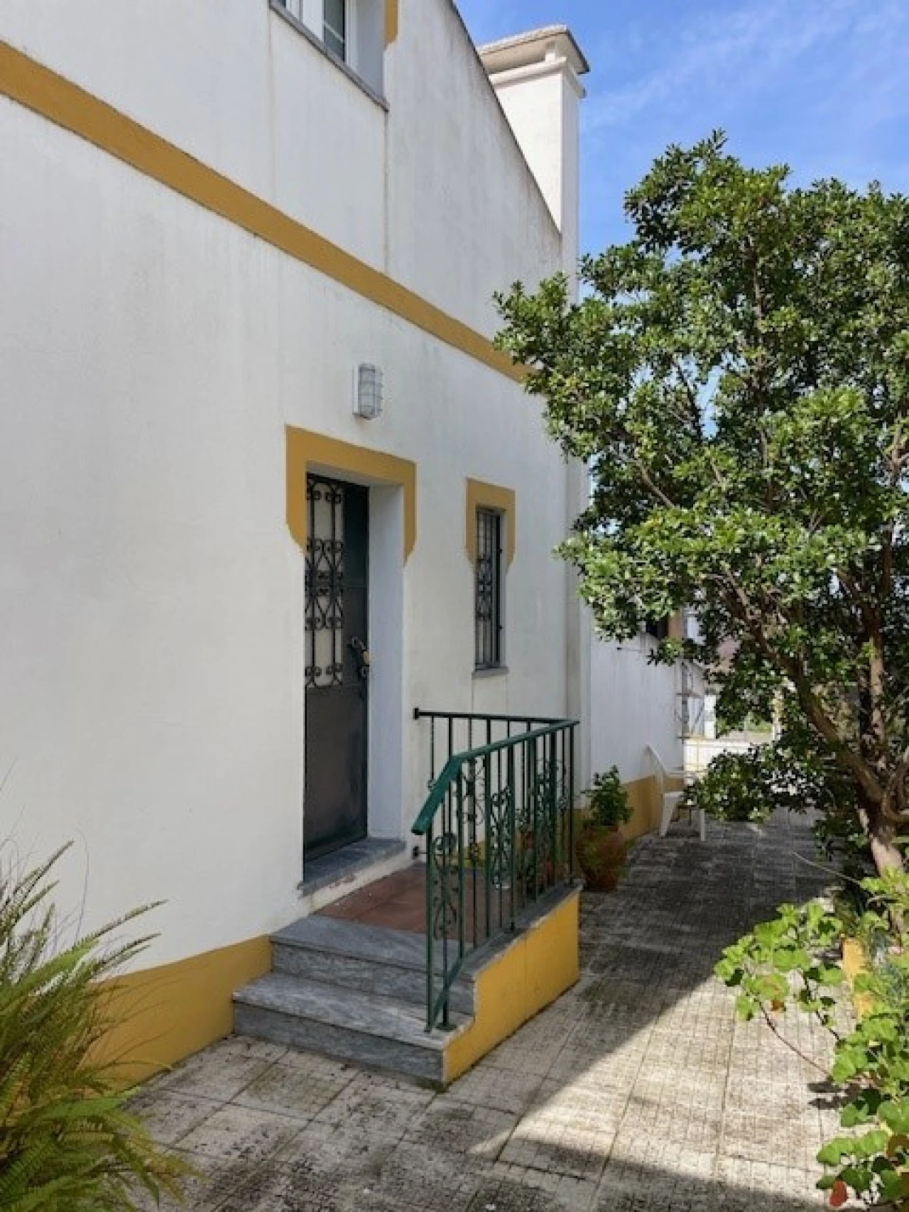 Quinta para Venda em Mora Foto 6