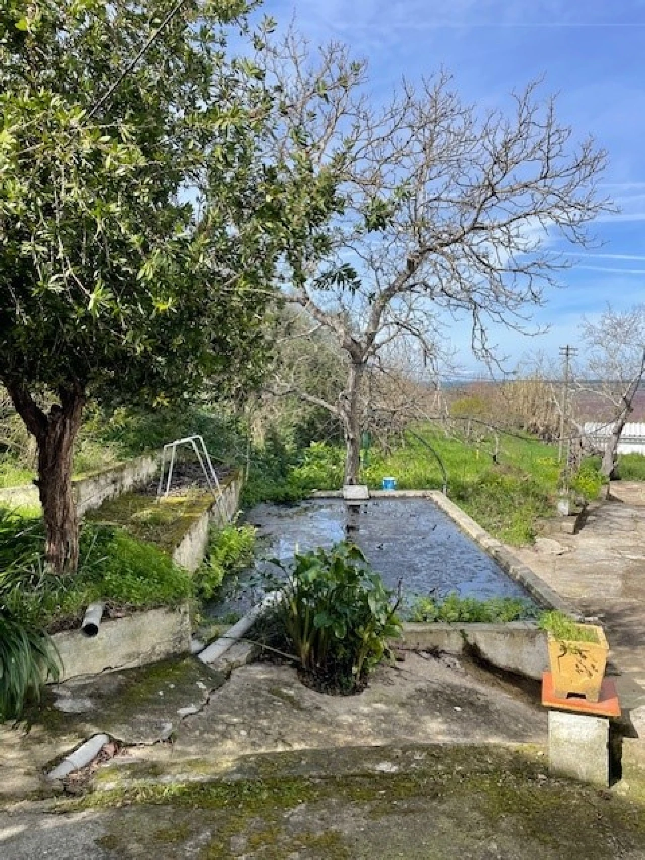 Quinta para Venda em Mora Foto 11