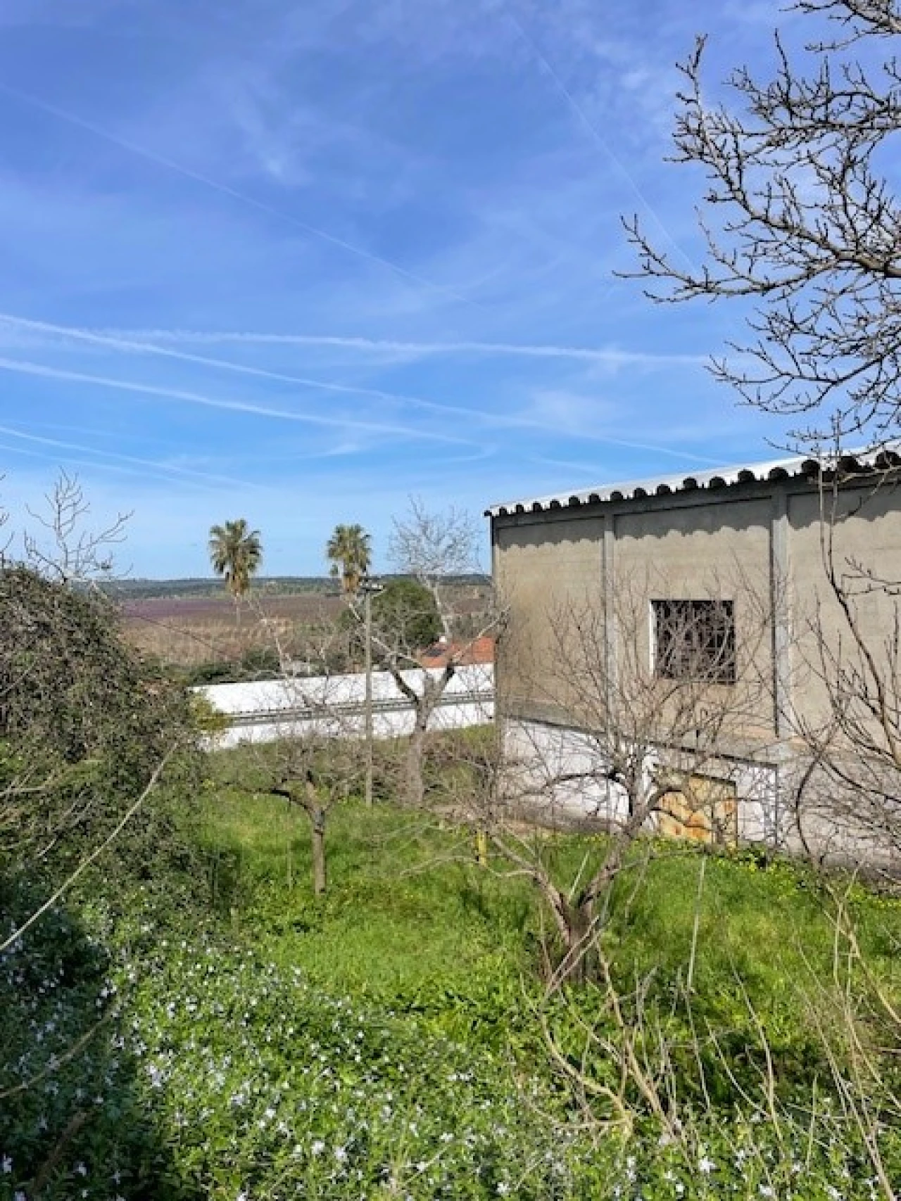 Quinta para Venda em Mora Foto 15