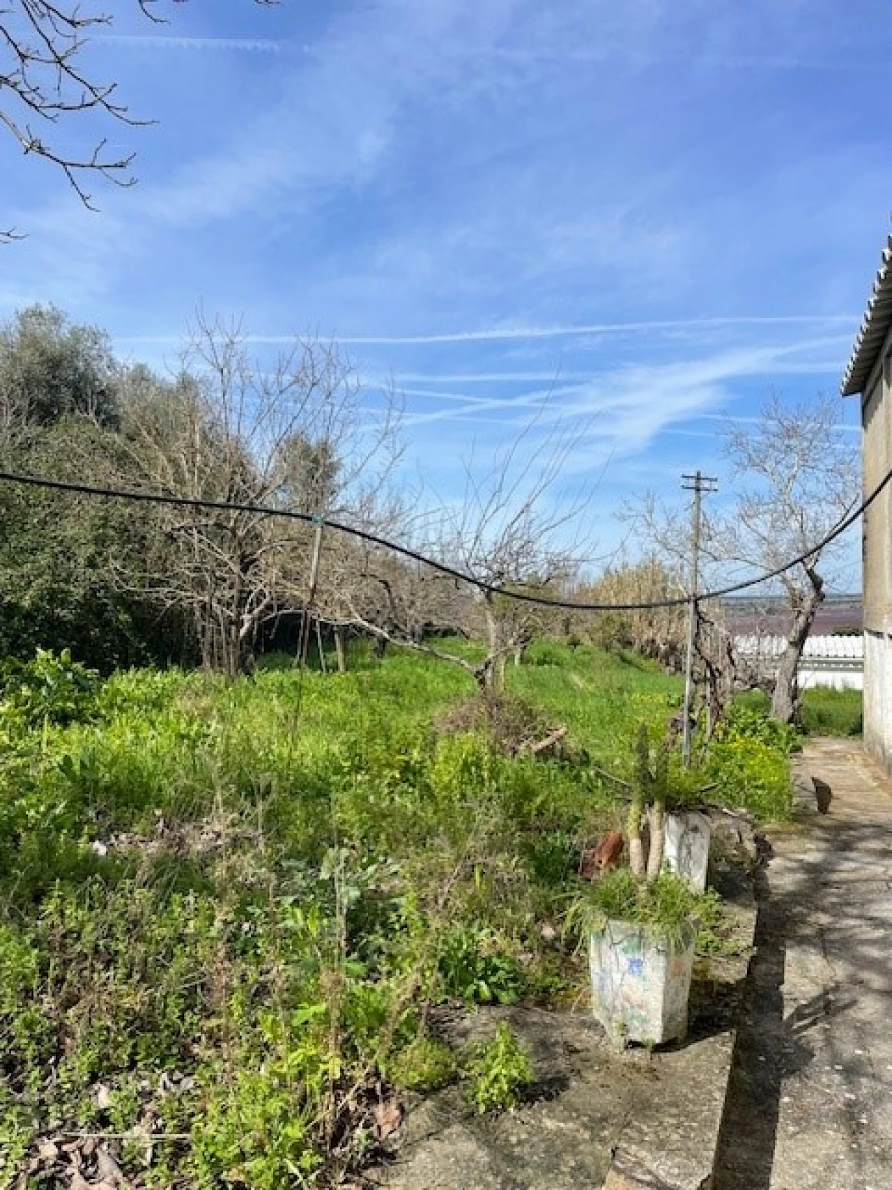 Quinta para Venda em Mora Foto 16