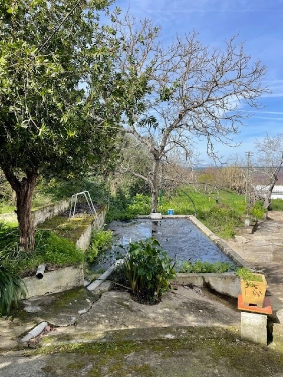 Quinta para Venda em Mora Foto 11