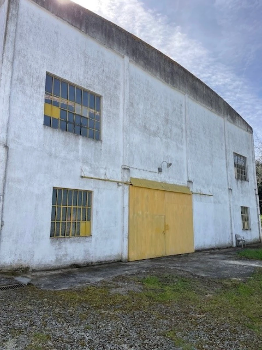 Quinta para Venda em Mora Foto 18