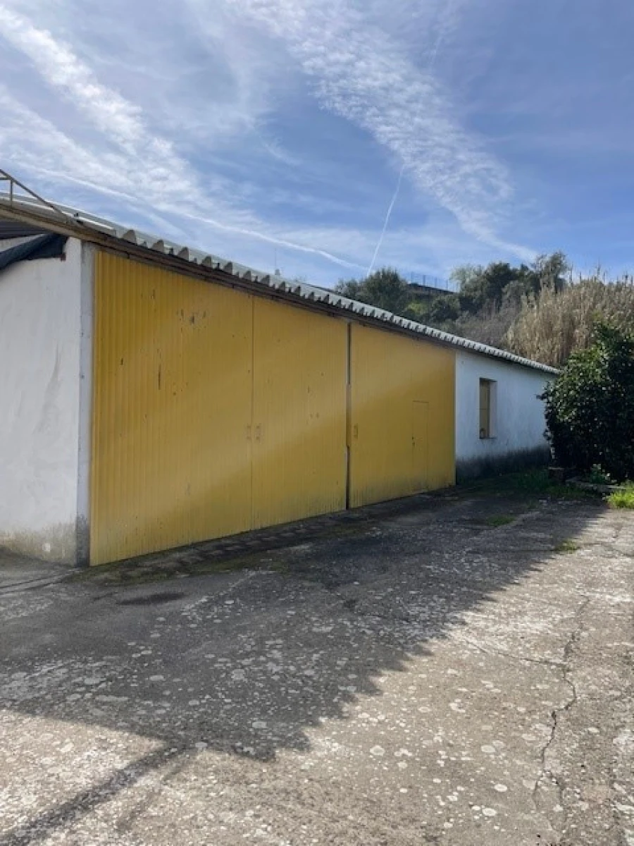 Quinta para Venda em Mora Foto 19