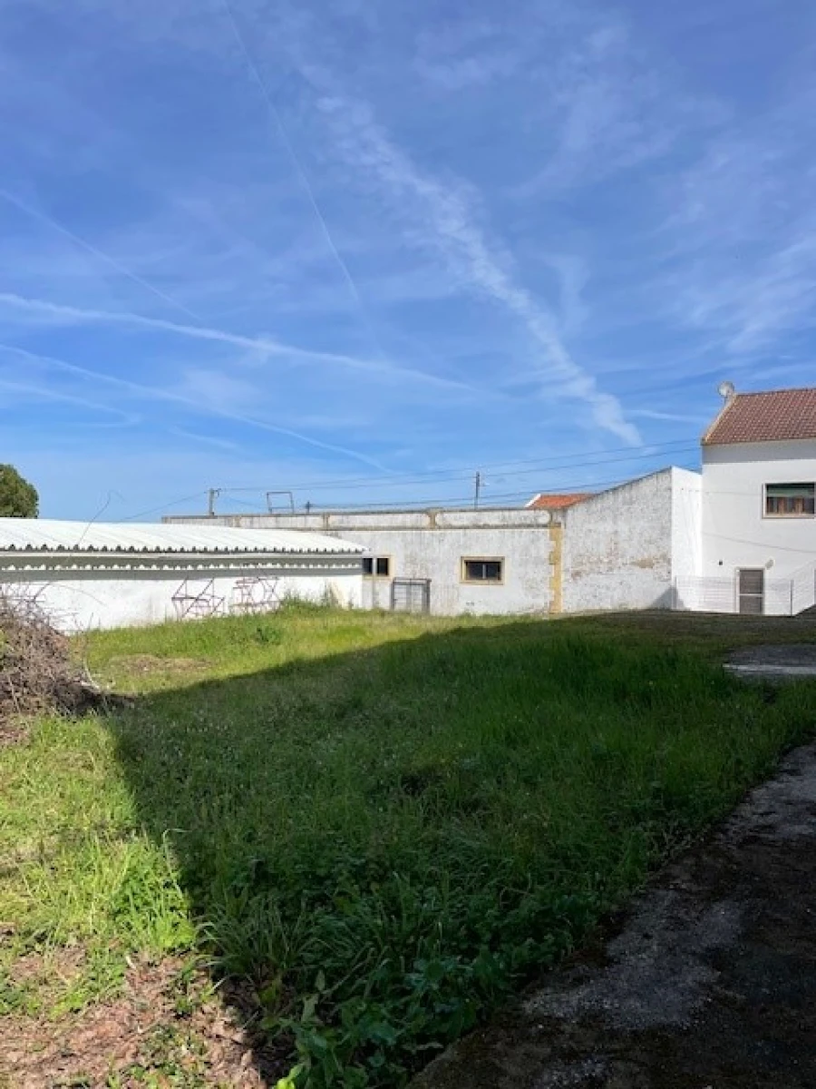 Quinta para Venda em Mora Foto 23