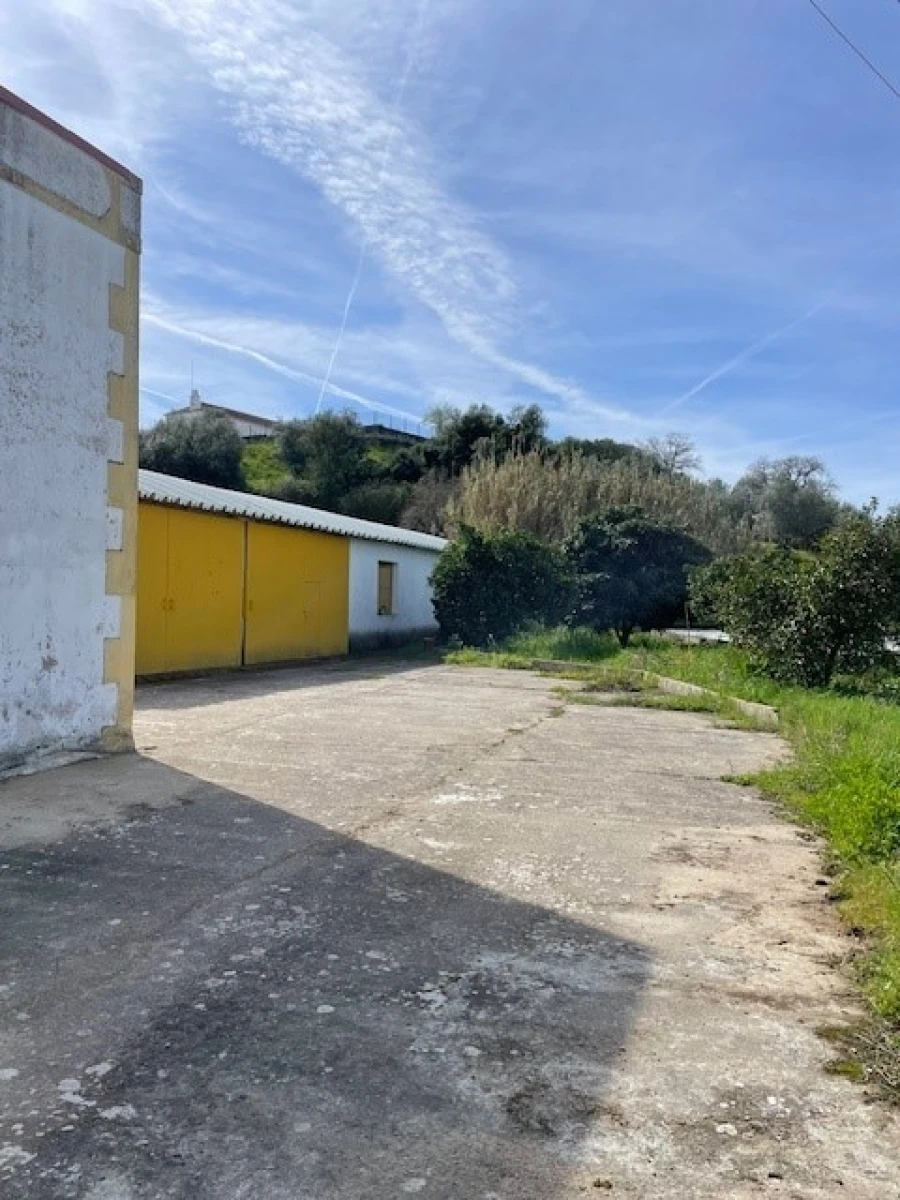 Quinta para Venda em Mora Foto 20