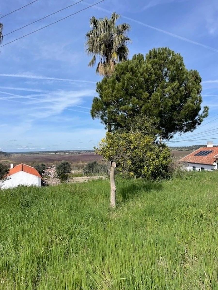 Quinta para Venda em Mora Foto 26