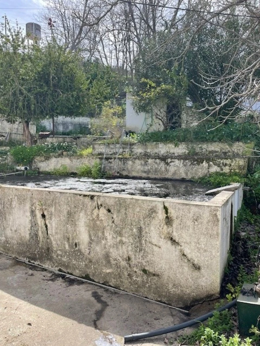 Quinta para Venda em Mora Foto 28