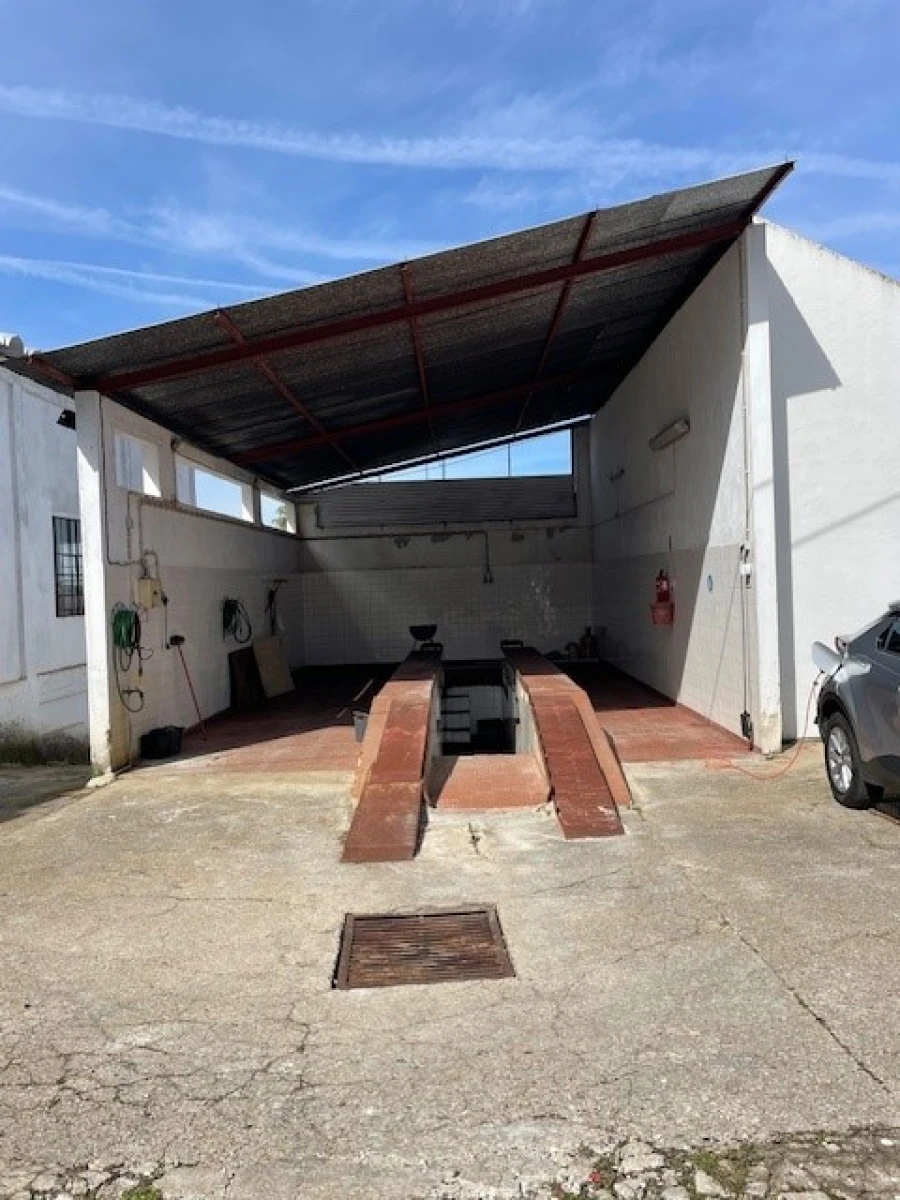 Quinta para Venda em Mora Foto 31