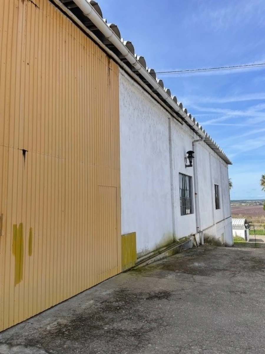 Quinta para Venda em Mora Foto 33