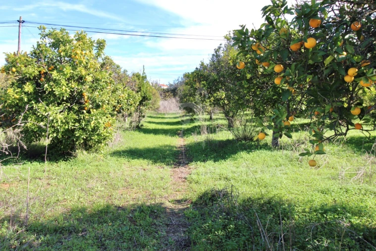 Moradia T3 para Venda em Moncarapacho e Fuseta Foto 33