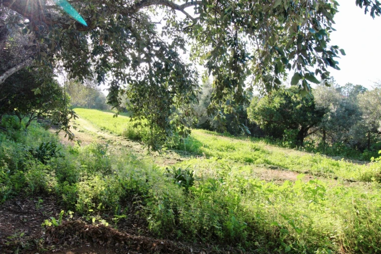 Moradia T7 para Venda em Luz de Tavira e Santo Estêvão Foto 6