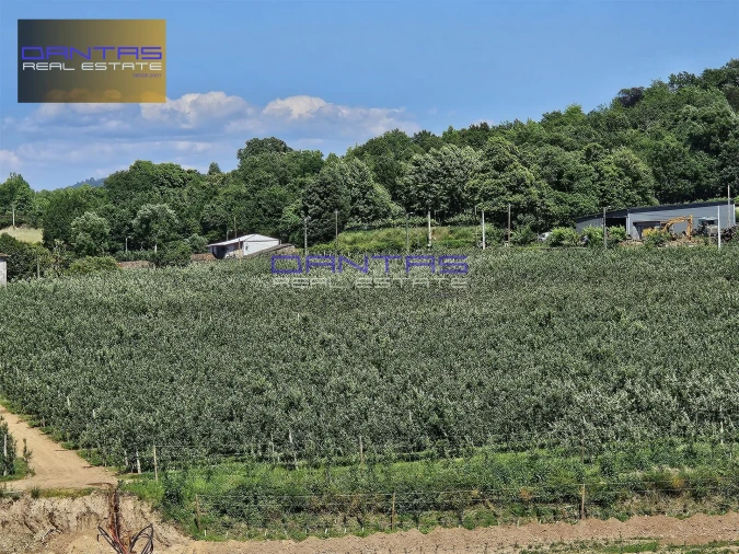 Moradia T4 para Venda em Mire de Tibães Foto 11