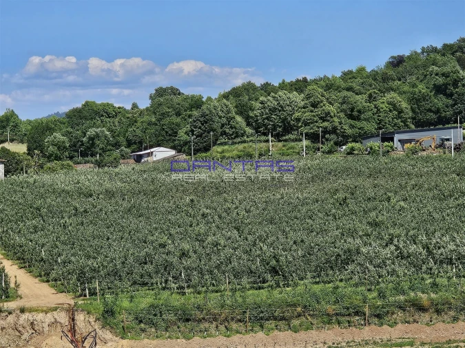 Moradia T4 para Venda em Mire de Tibães Foto 24