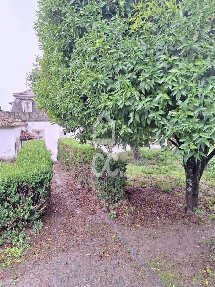 Moradia T12 para Venda em Tortosendo Foto 18